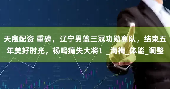 天宸配资 重磅，辽宁男篮三冠功勋离队，结束五年美好时光，杨鸣痛失大将！_海梅_体能_调整