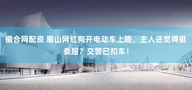 撮合网配资 眉山网红狗开电动车上路，主人还觉得挺委屈？交警已扣车！